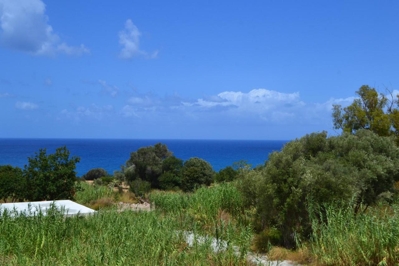 Campus Dei - Tropea Rooms Exteriör bild